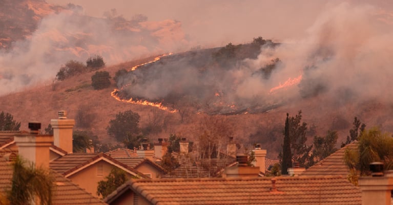 Wildlife Contributing to Wildfire Ignition 