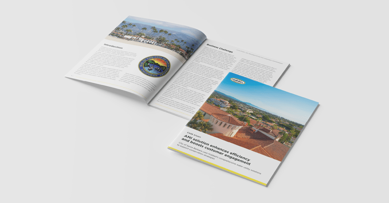 Santa Barbra Advanced Metering Infrastructure Case Study 